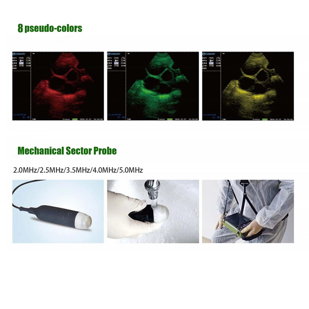 Dawei Portable Veterinary Ultrasound Scanner With Probe For Pregnancy