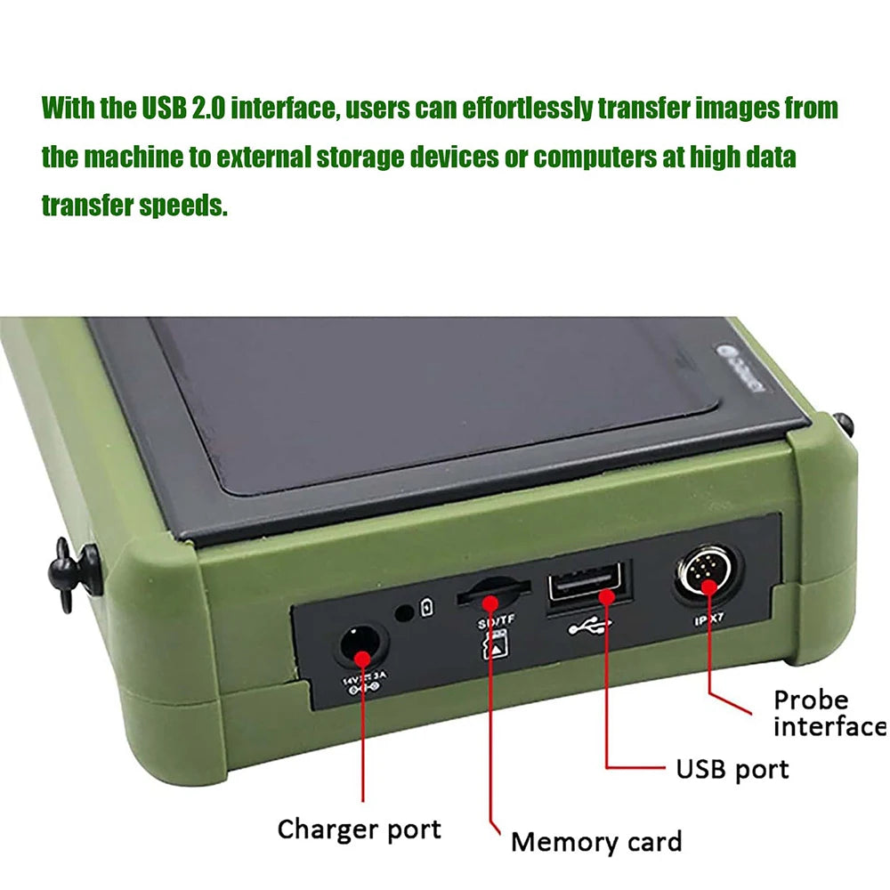 Dawei Portable Veterinary Ultrasound Scanner With Probe For Pregnancy