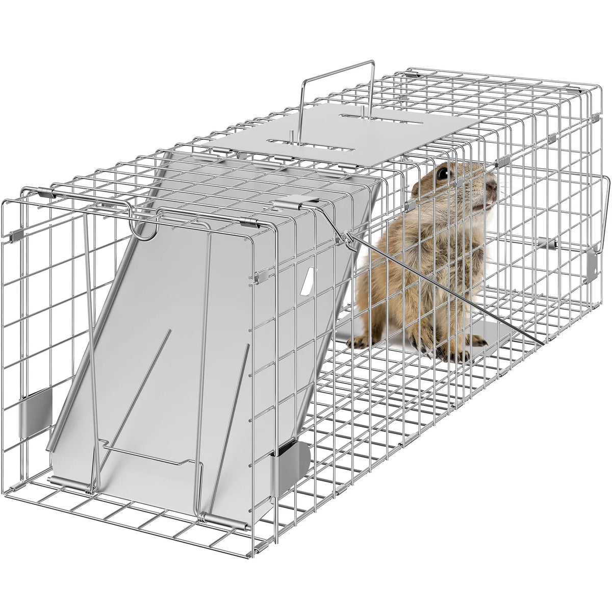 Humane Metal Live Animal Cage Trap For Rodents Cats Rabbits Squirrels