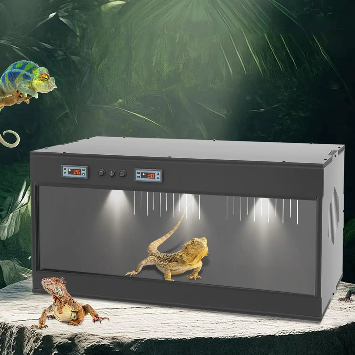 PVC Front Opening Reptile Terrarium With Dual Temperature Controller