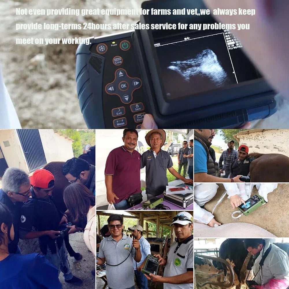 Dawei Portable Veterinary Ultrasound Scanner With Probe For Pregnancy