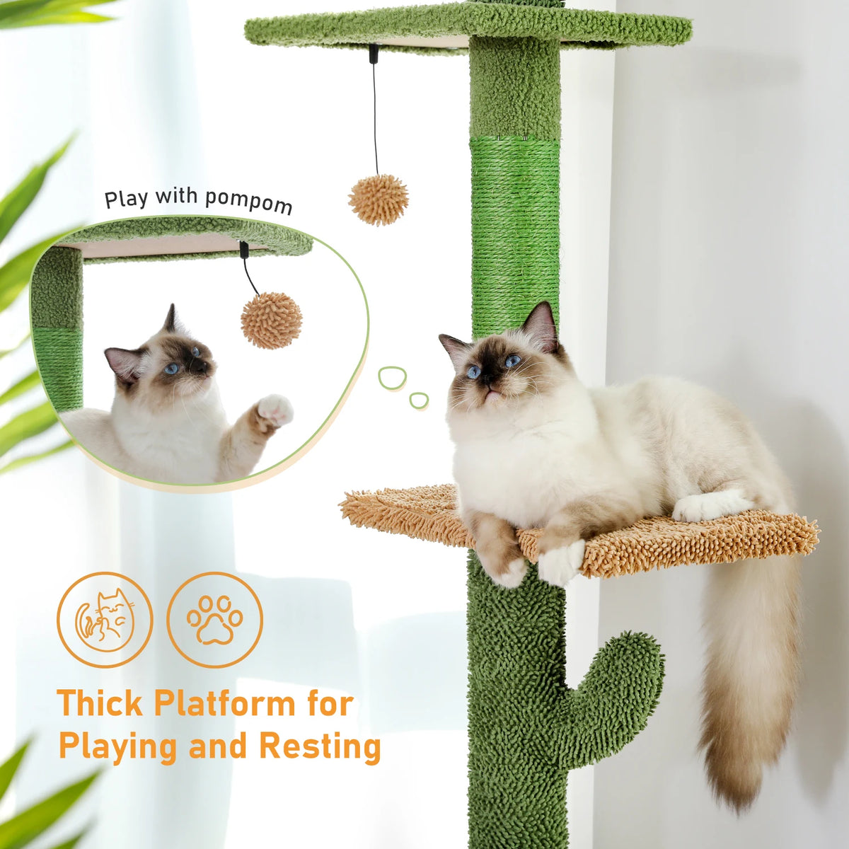 PAWZ Road 5-Tier Floor-to-Ceiling Cat Tree Scratcher