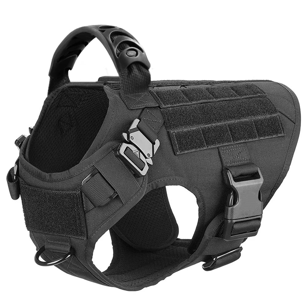 PetraVel Padded Nylon Dog Harness Leash Set For Safe Walking