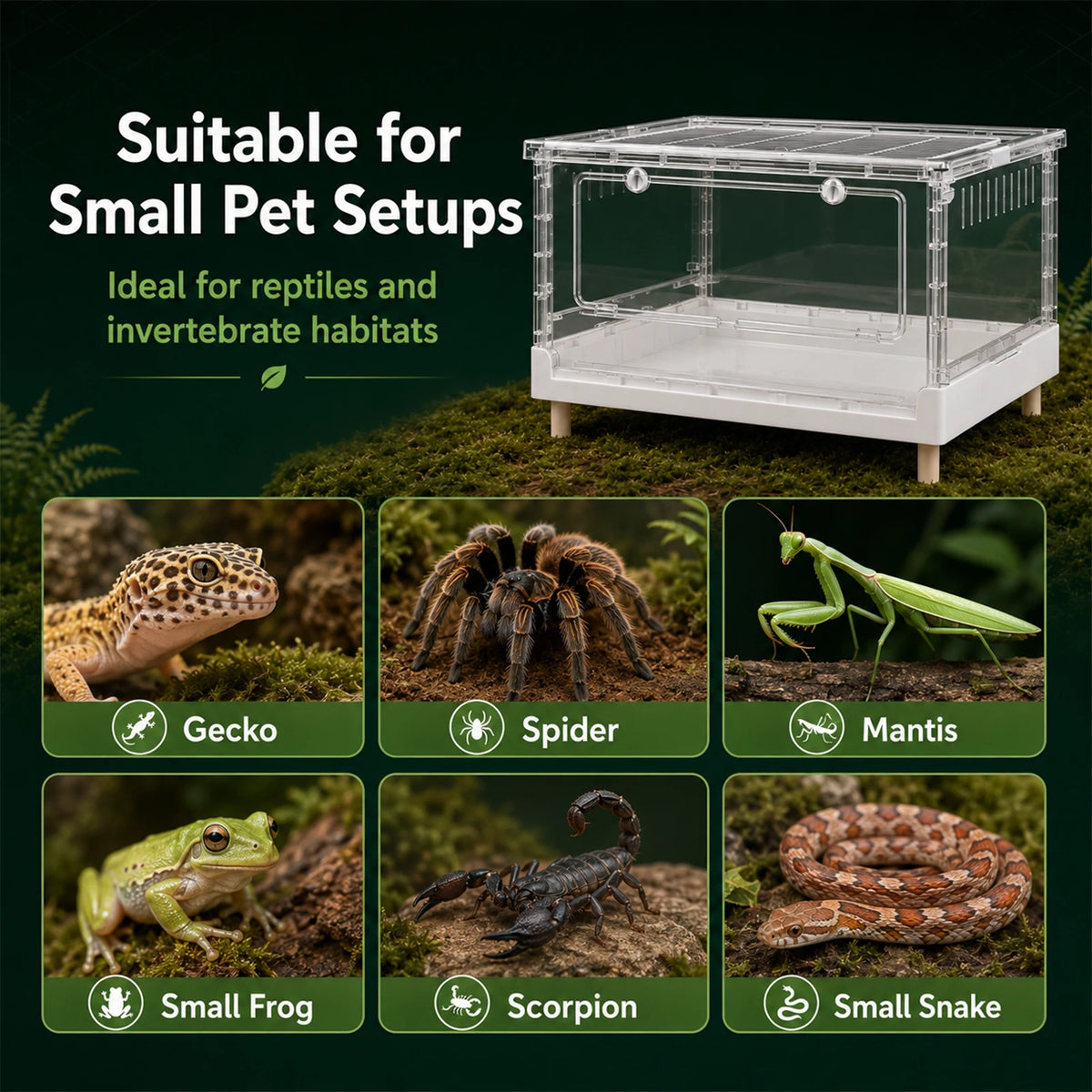 Foldable Acrylic Reptile Terrarium With Clear Ventilation For Pets