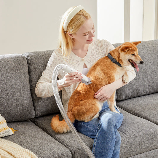 Low Noise Pet Grooming Vacuum Kit With Clipper Attachment