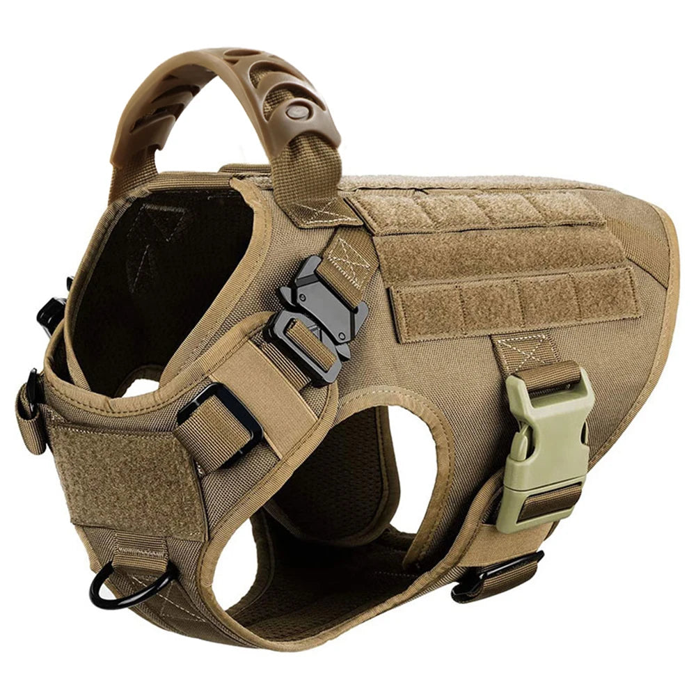 PetraVel Padded Nylon Dog Harness Leash Set For Safe Walking