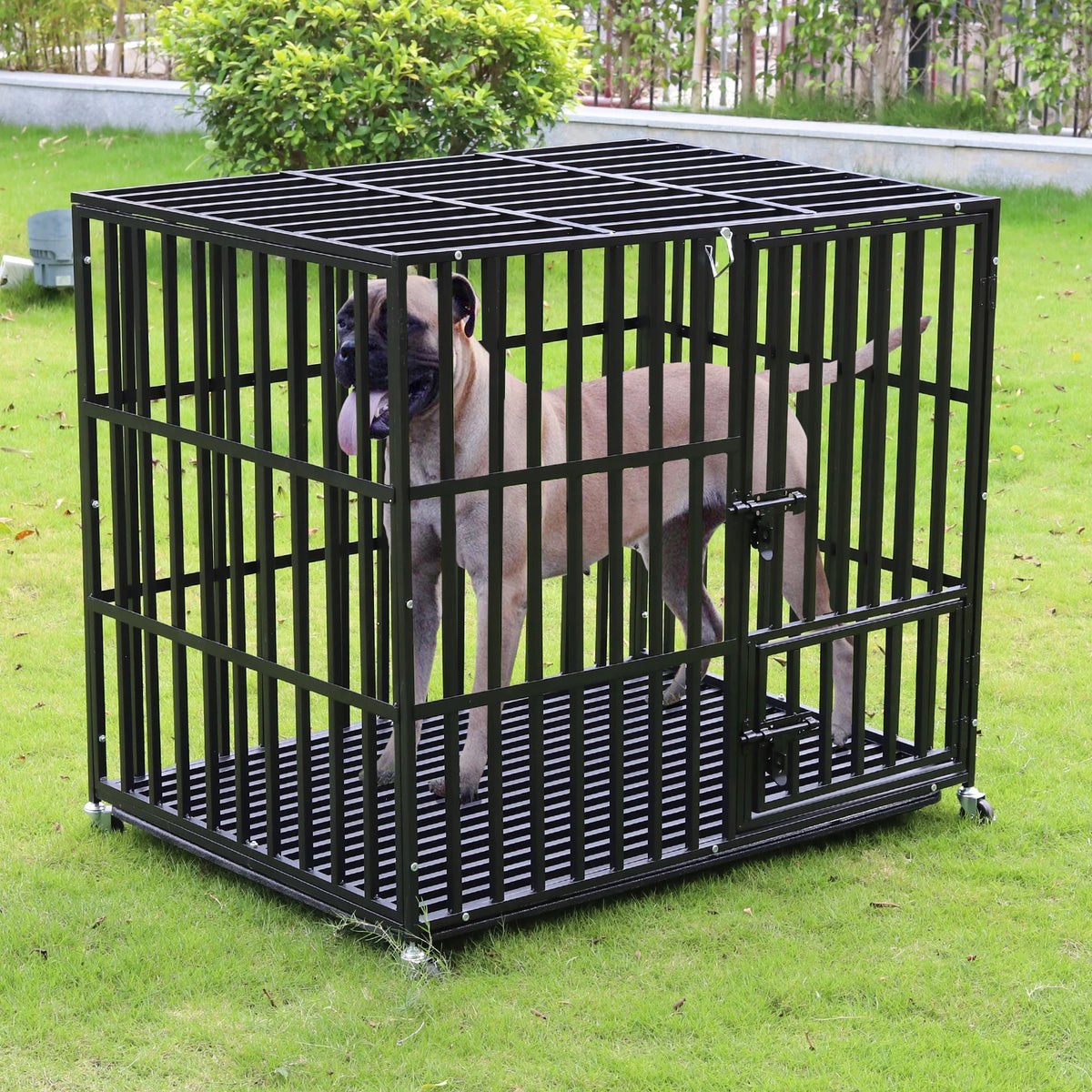 Bingopaw Heavy Duty Metal Pet Crate With Wheels And Tray