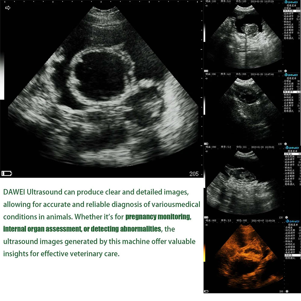 Dawei Portable Veterinary Ultrasound Scanner With Probe For Pregnancy