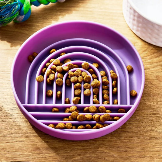 Silicone Slow Feeder Bowl For Healthy Pet Mealtime Activities